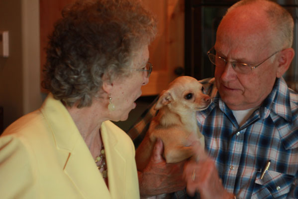 Senior Pets